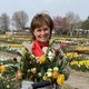 Tulpen | Blumenstrauß pflücken | Die Tulperie | Lachen