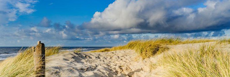 Explore the Dutch Dunes by MTB