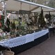 Kerstmarkt in Warmond
