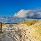 Explore the Dutch Dunes by MTB