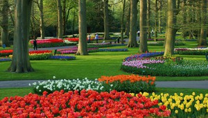 Keukenhof